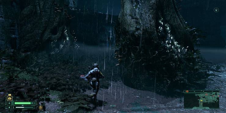 Селена бежит по лесу