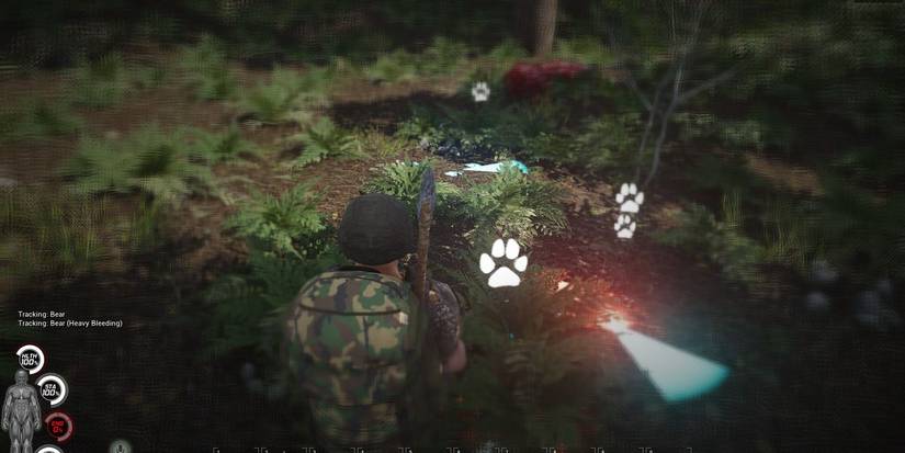 scum bleeding animal