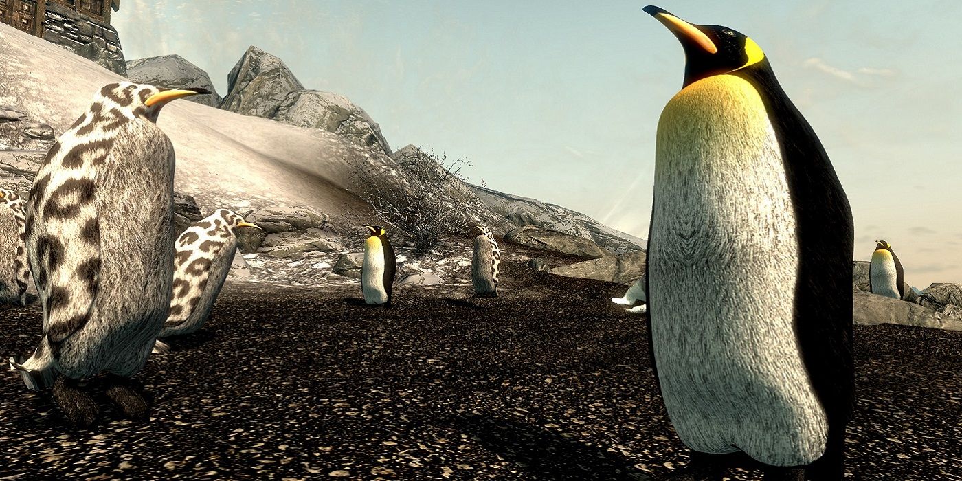 Screenshot from Skyrim showing a penguin in the world of Tamriel.