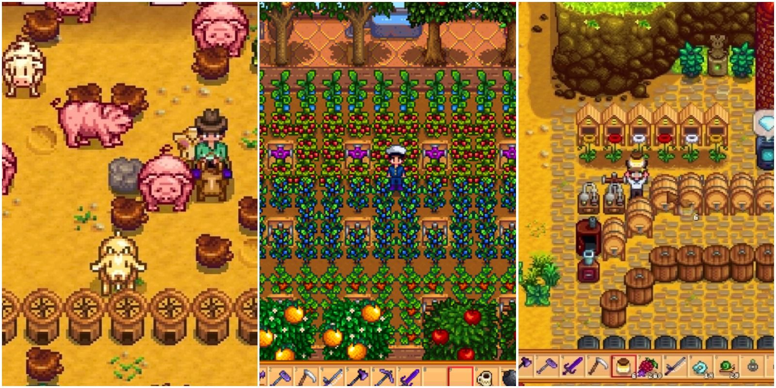 Pigs, the greenhouse, and bee houses