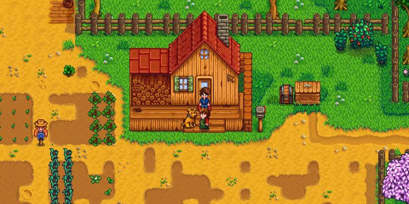 A farm in Stardew Valley