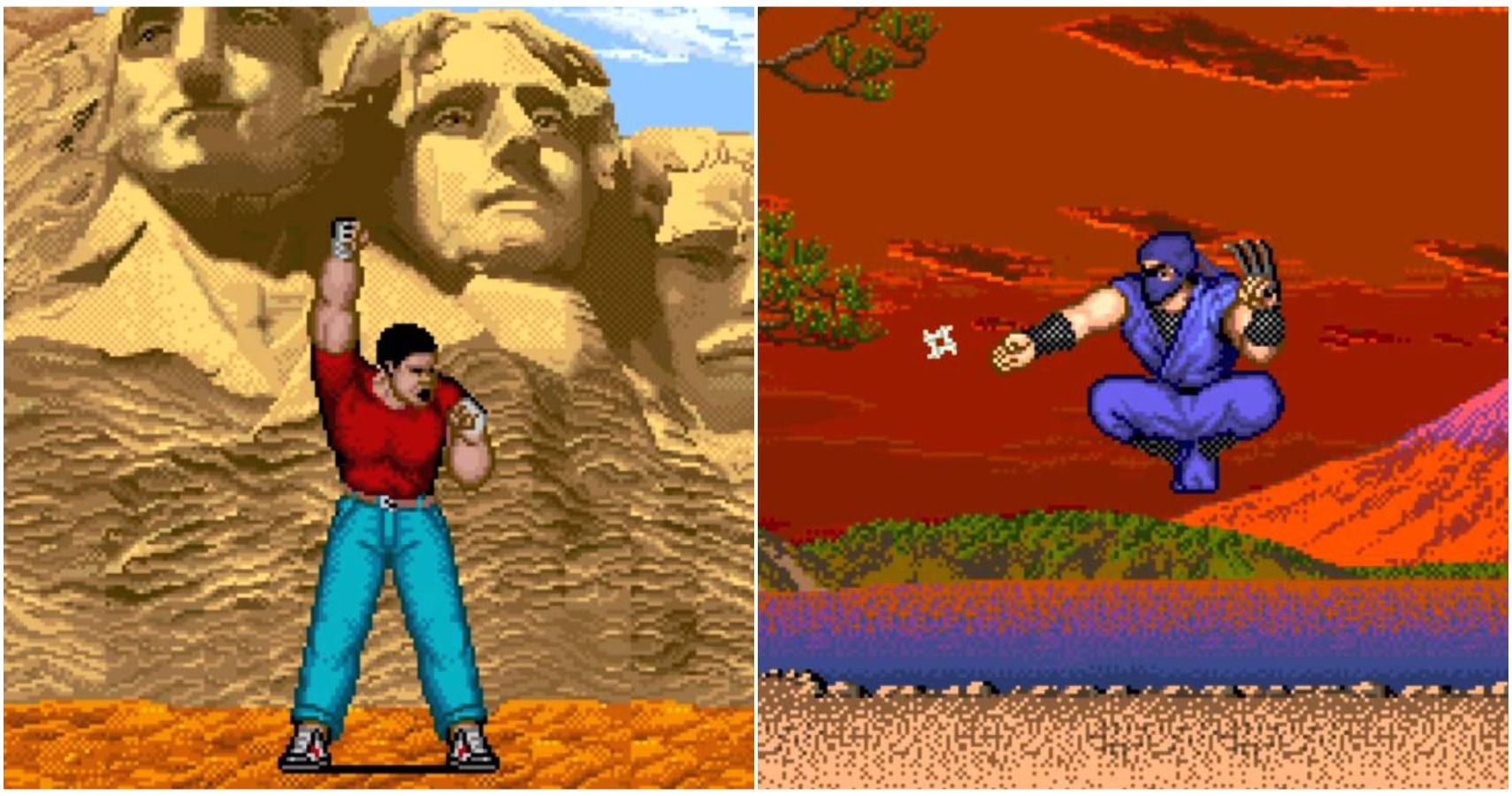 The Only Two Characters To Appear In Every Street Fighter Game