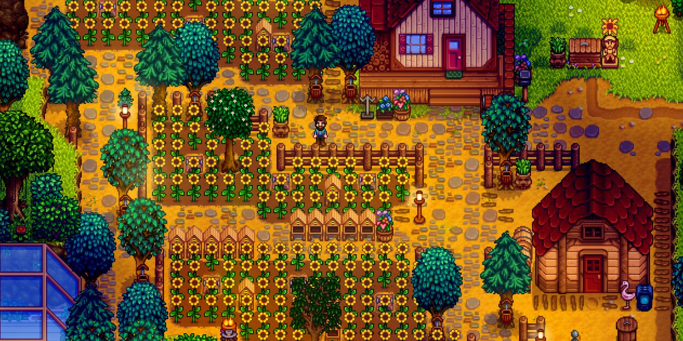 stardew valley sunflower farm with two houses at night