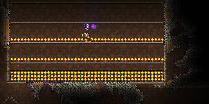 player placing torches underground in a sparse pattern.