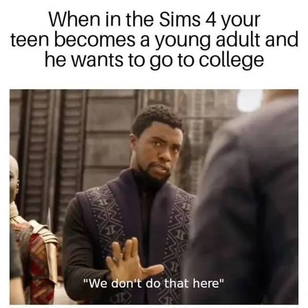 meme in the sims about college being a waste of time.
