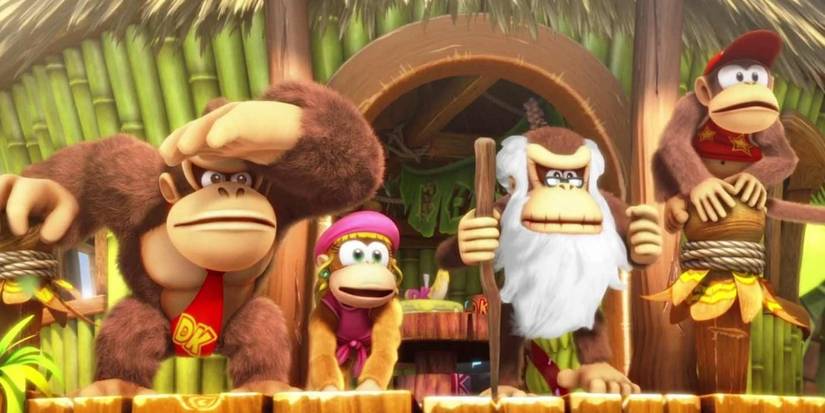 donkey diddy dixie cranky kong