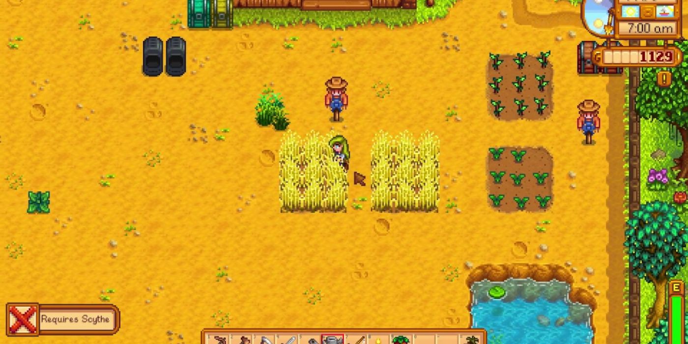 stardew valley wheat farm empty above pond with scare crow