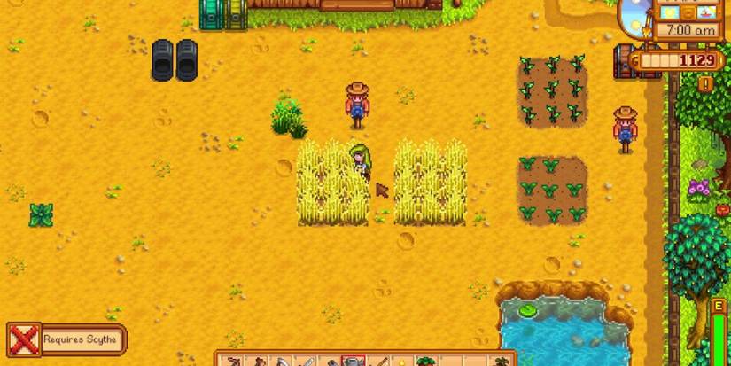 stardew valley wheat farm empty above pond with scare crow
