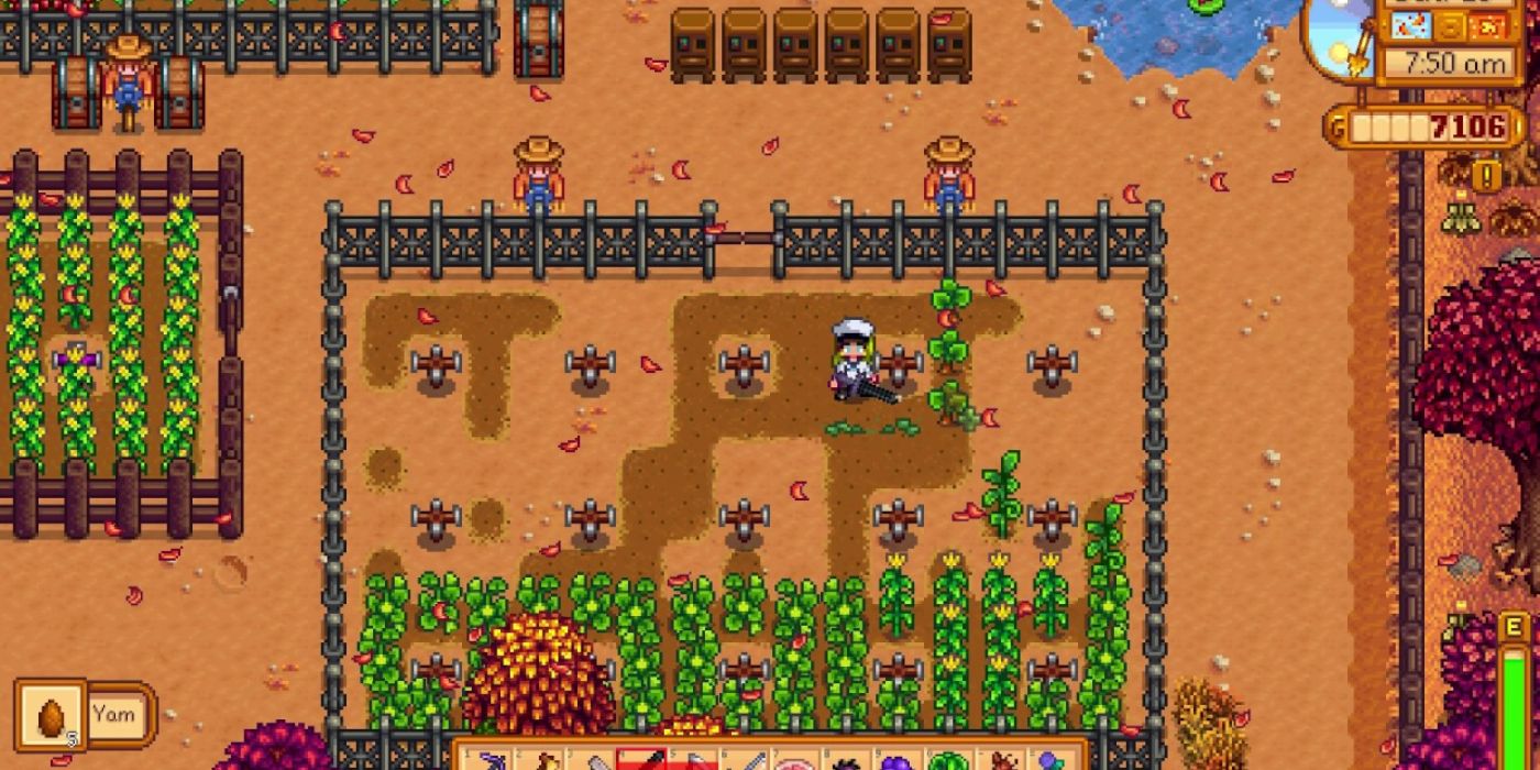 stardew valley yam farm half empty surrounded by fence