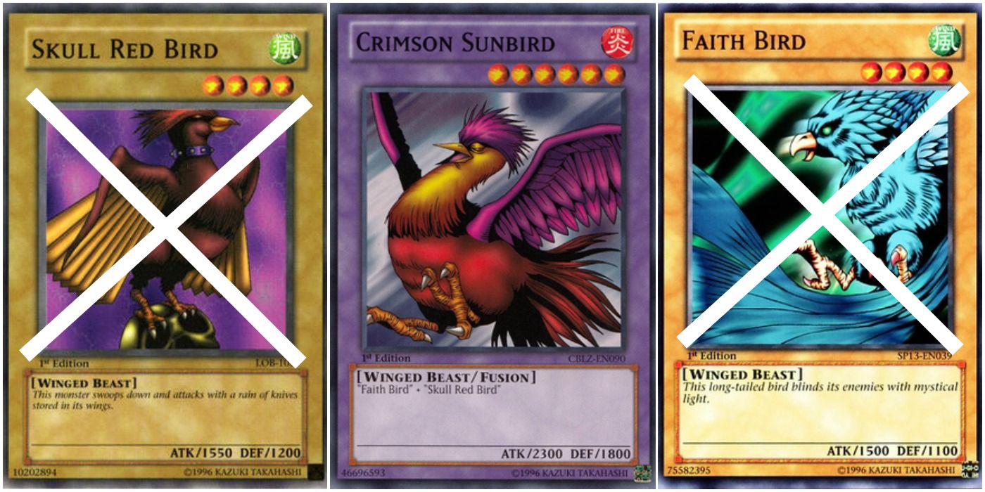 skull red bird, crimson sunbird, and faith bird cards.