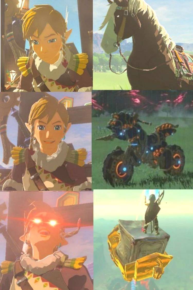 link in the legend of zelda breath if the wild thinking about travel options.