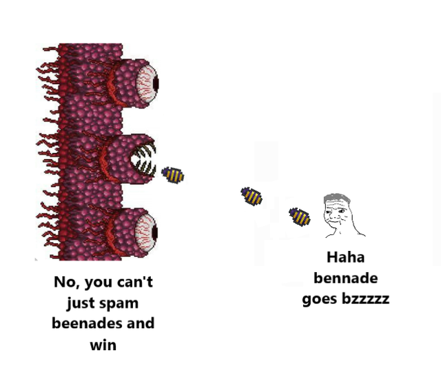 meme about the wall of flesh boss being cheesed with beenades.