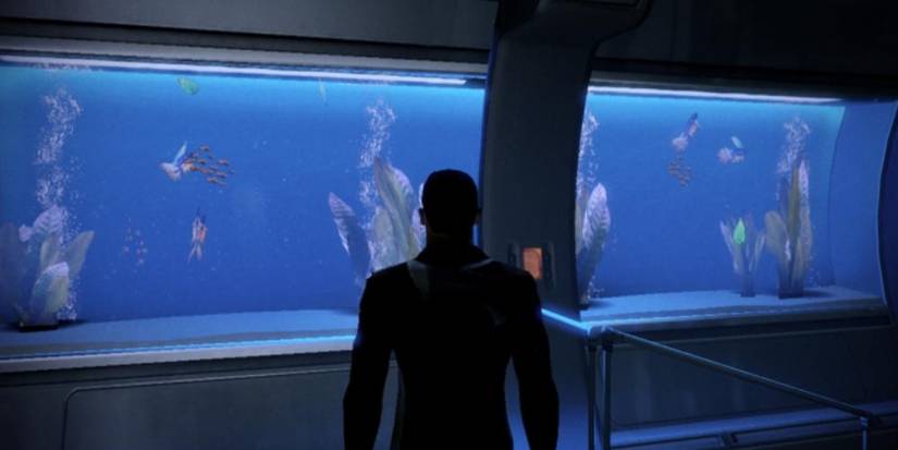 Shepard staring at fish tank.