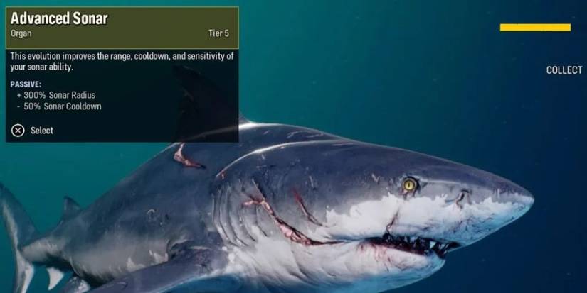 Advanced Sonar Maneater Ability