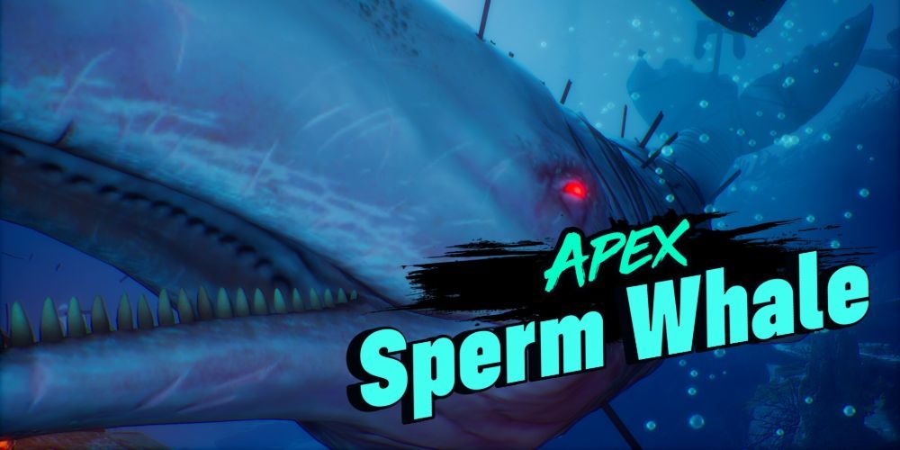 Apex Sperm Whale Maneater