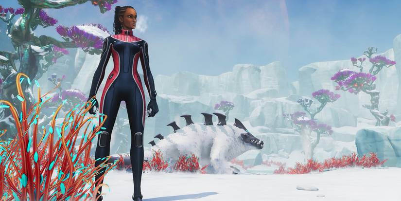 Arctic Biome Subnautica Below Zero