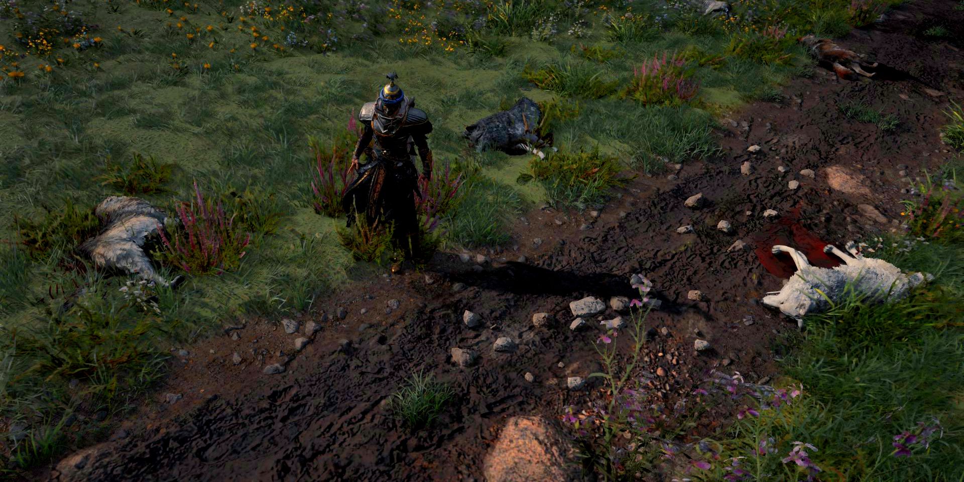 eivor standing by some dead wolves in front of a field near the drumlish trade post.