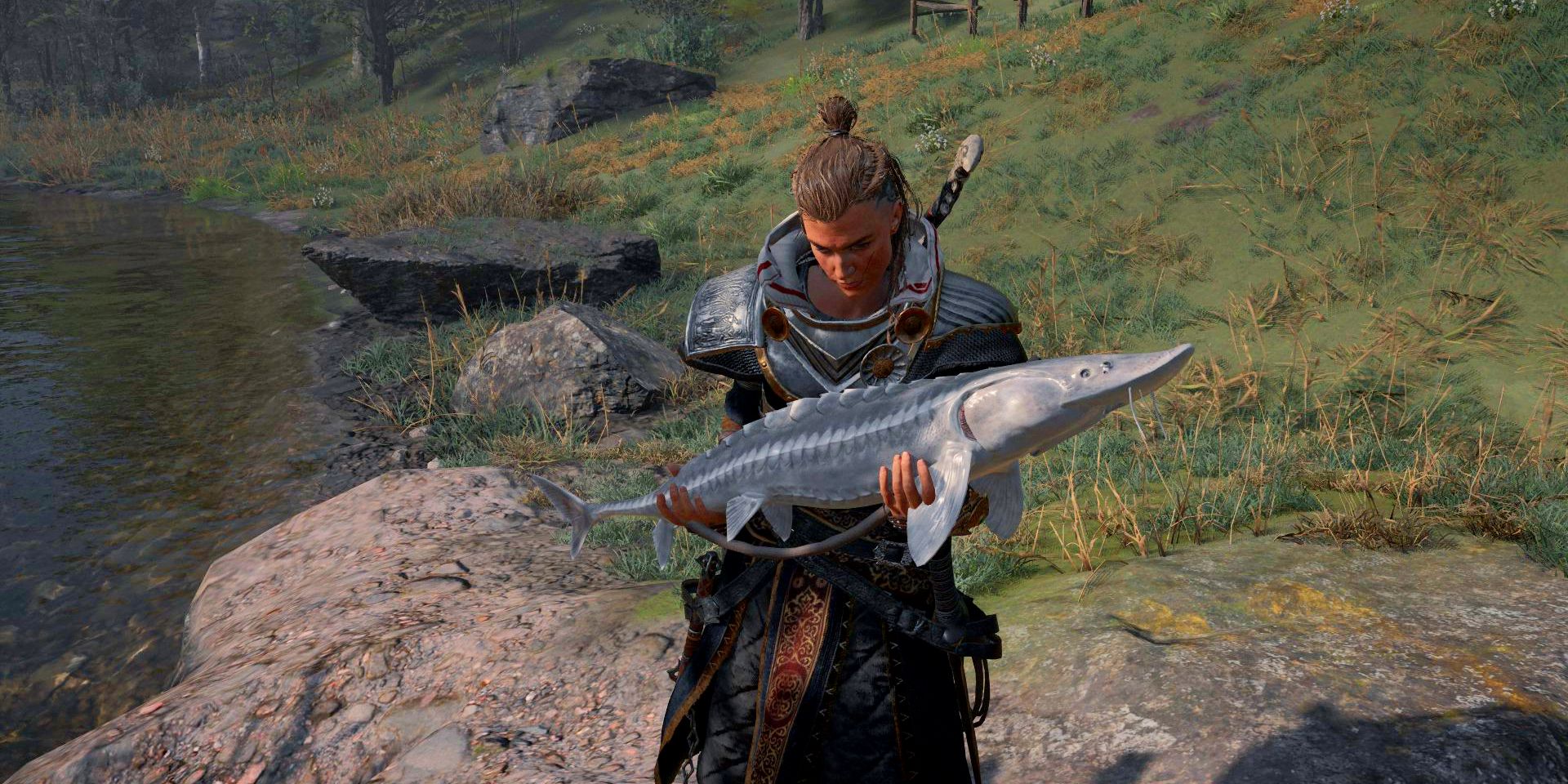 Assassin's Creed Valhalla Wrath of the Druids How To Perform The