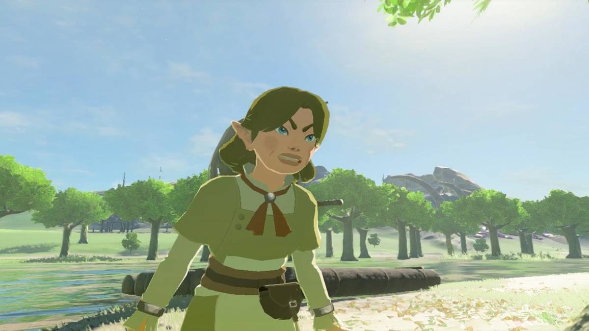 Breath of the Wild flower lady