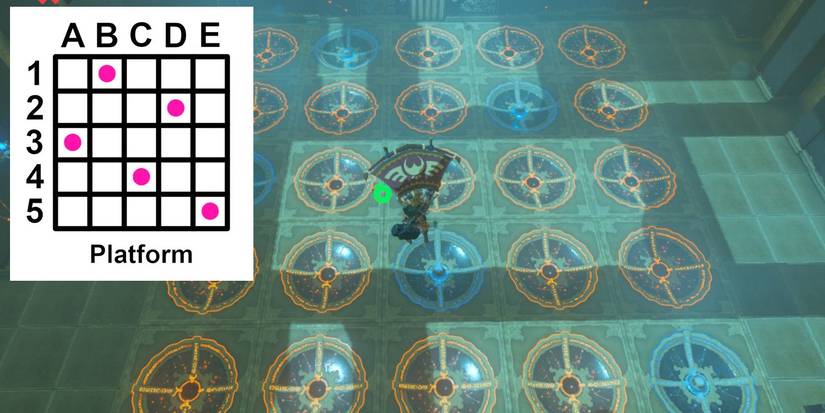 Shee Vaneer Solution for Breath of the Wild