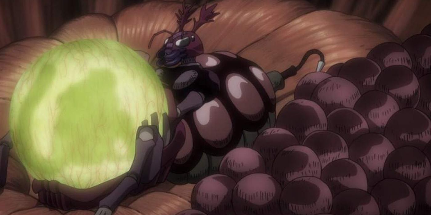 Hunter x hunter 2024 chimera ant full episode