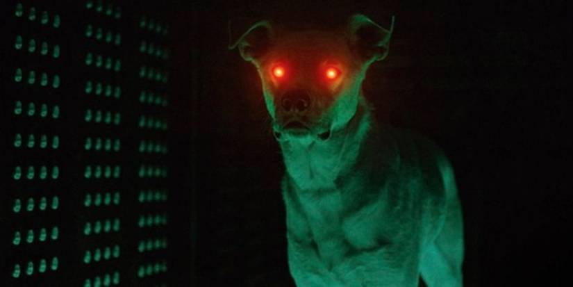 Krypto With Laser Eyes