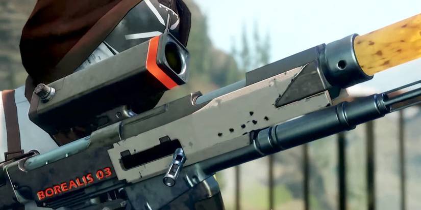 Destiny 2 Guardian Holding Borealis