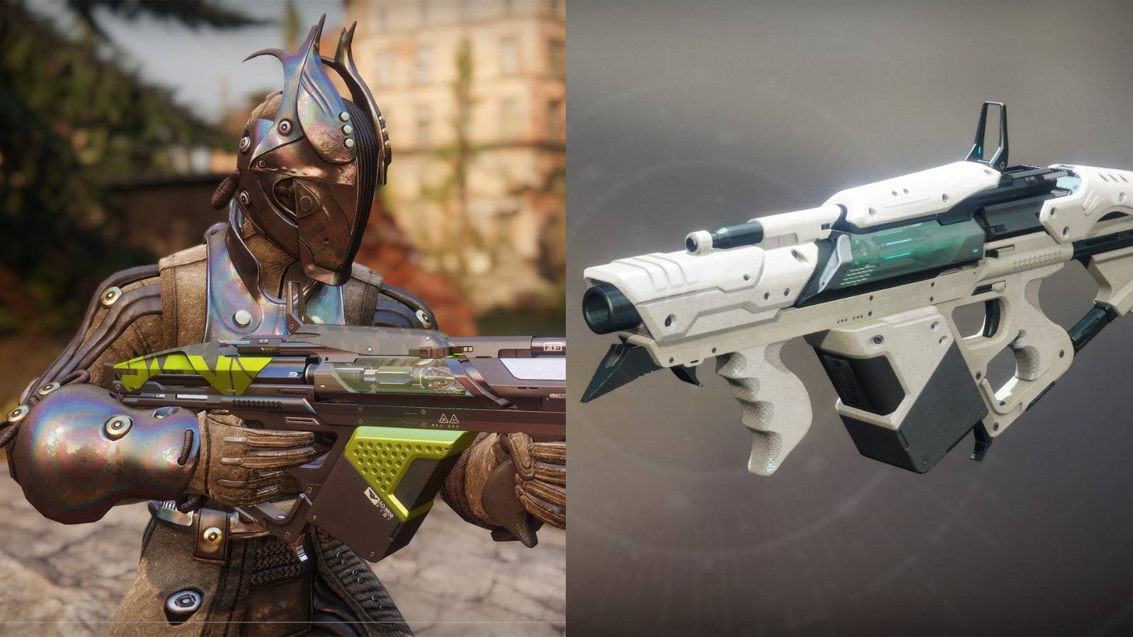 Destiny 2 Guardian With The Colony And White Colony