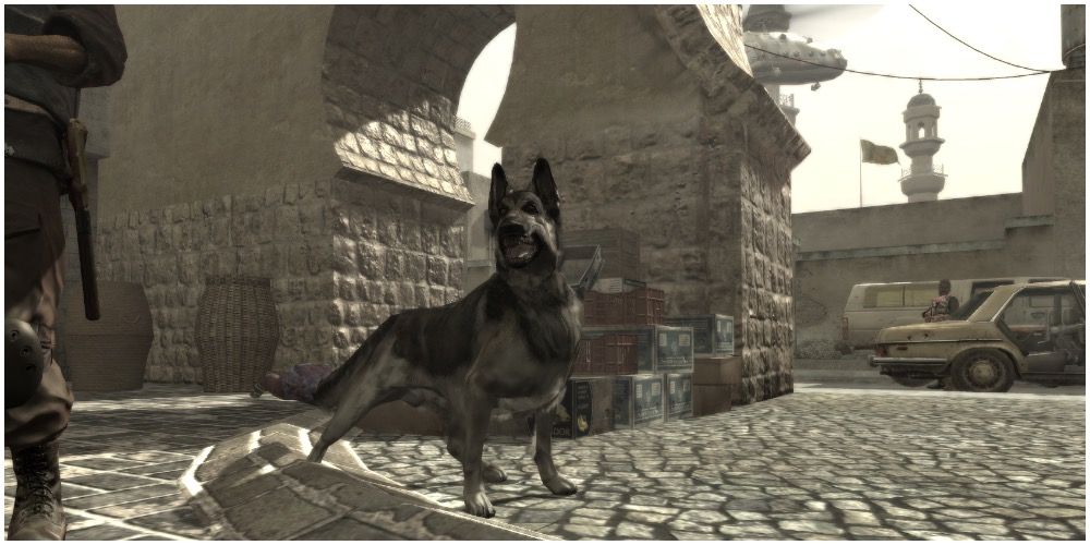 A dog as it appears in Modern Warfare