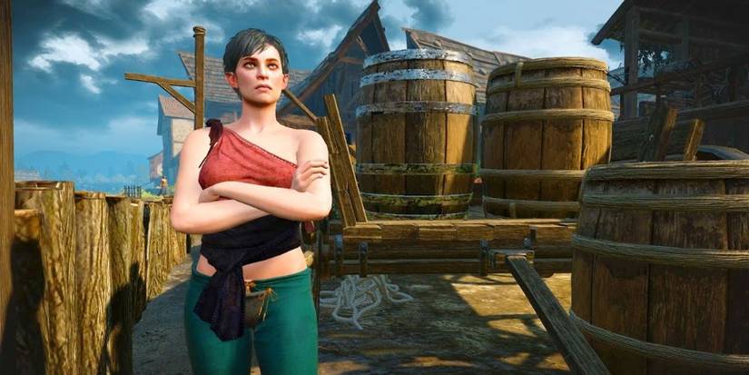 Elf Witcher 3 Cat School