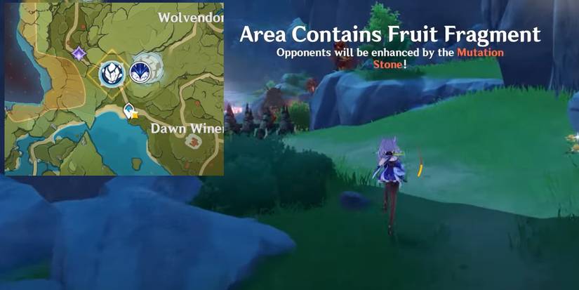 Fruit Shard Locations for Genshin Impact
