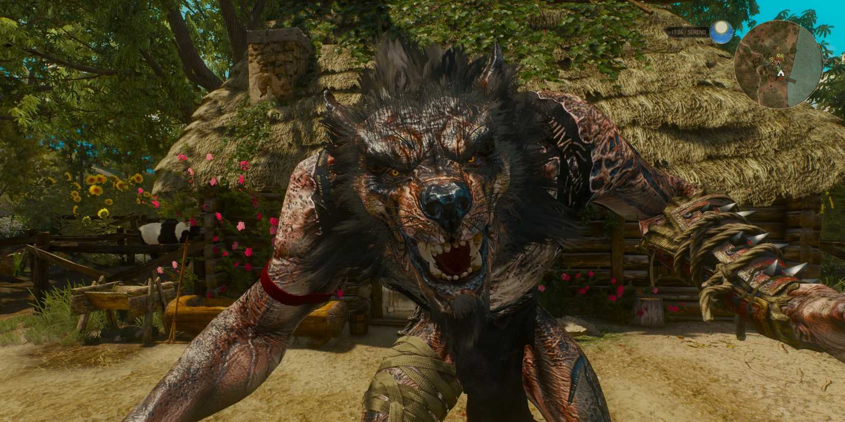 Werewolf From The Witcher 3