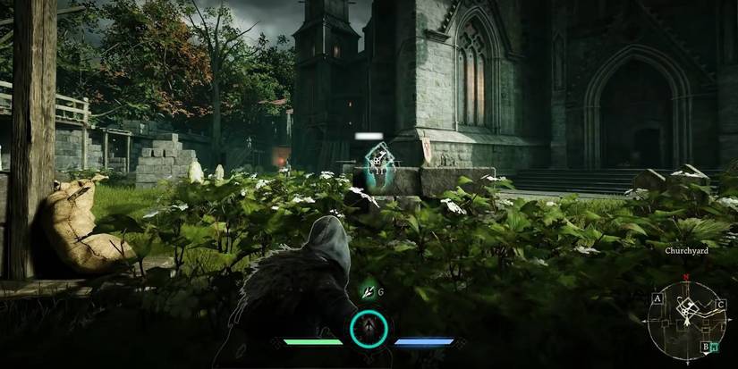 The Ranger Hiding In The Bushes