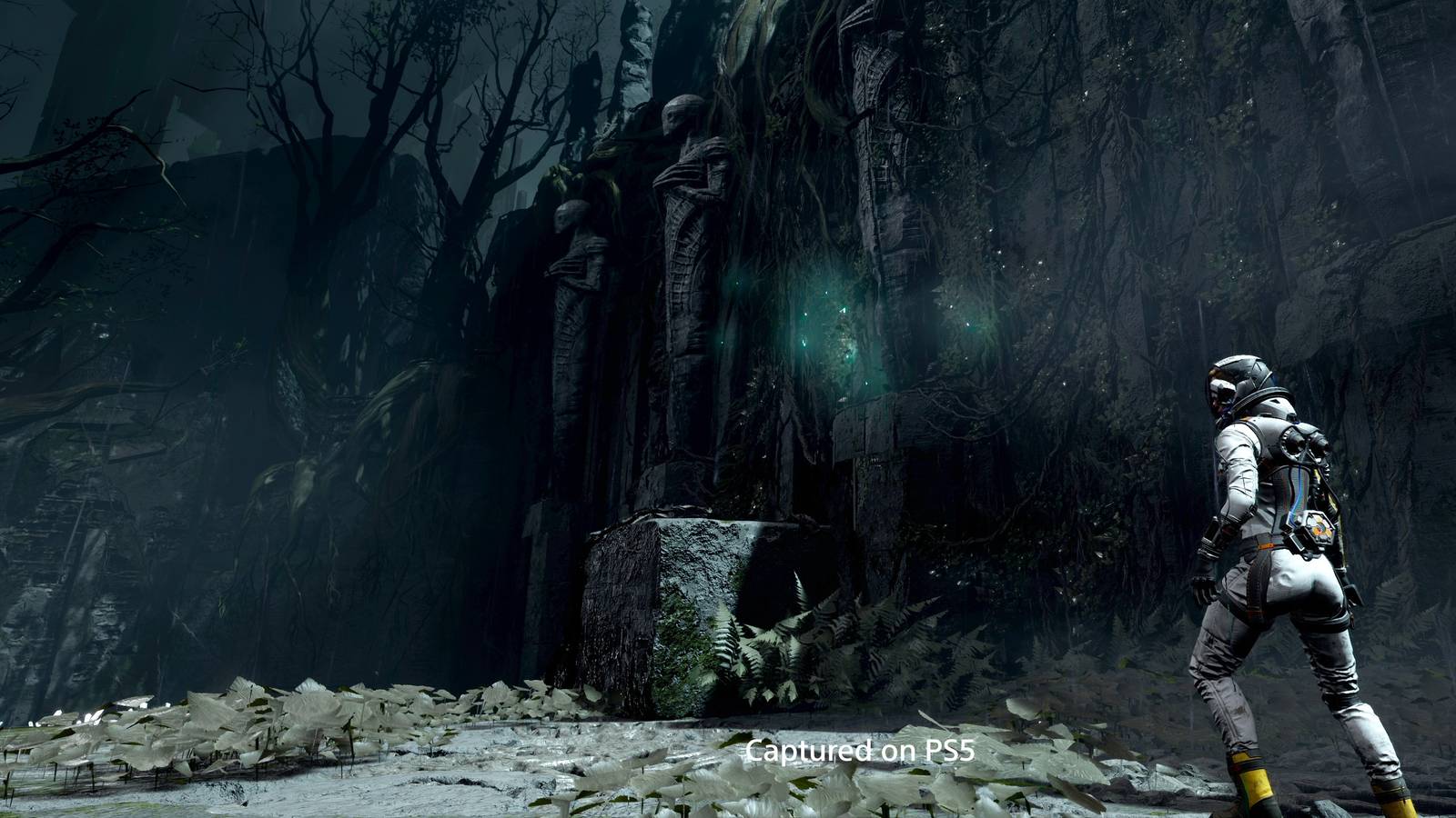 Selene walking through Biome