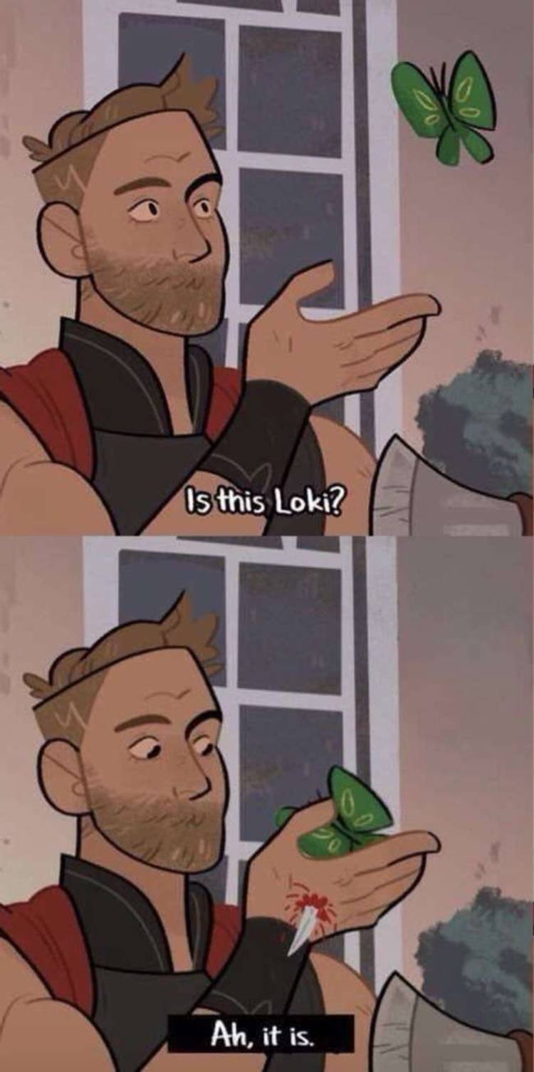 Meme About Thor Questioning If A Butterfly Is Loki Before Being Stabbed By It