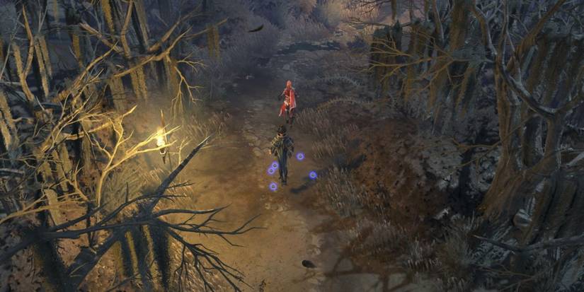 A Planeswalker In The Woods