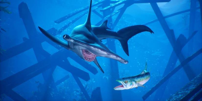 Maneater Hammerhead Fish In Mouth Throw