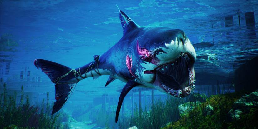 Killer Shark From Maneater