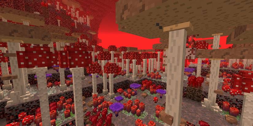 Minecraft Nether Biomes