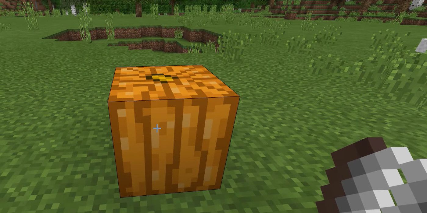 Craving a pumpkin in Minecraft