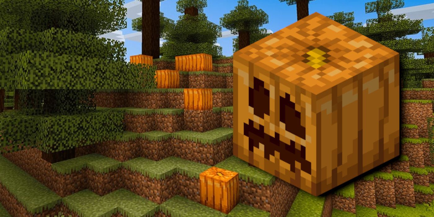Craving a pumpkin in Minecraft