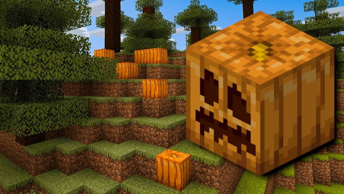 Craving a pumpkin in Minecraft