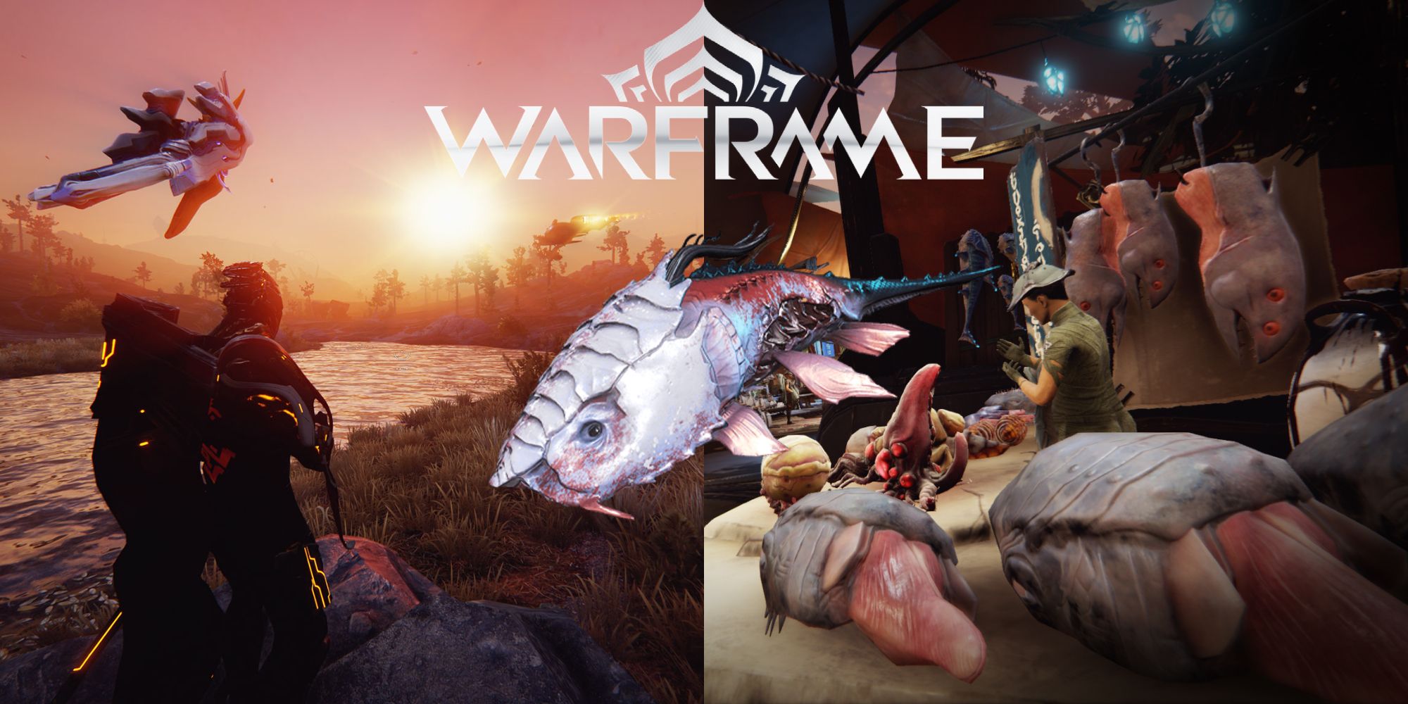 Warframe Fish oil