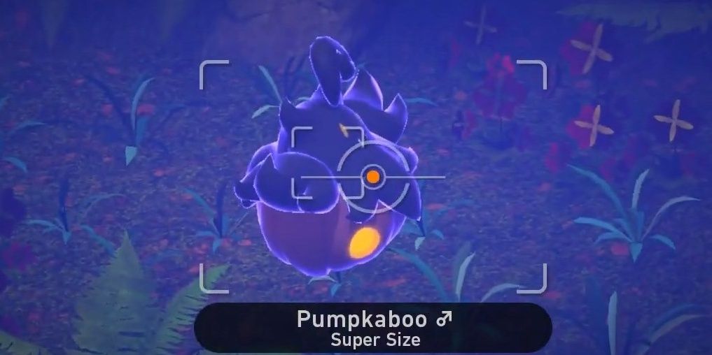 New Pokemon Snap Super Size Pumpkaboo