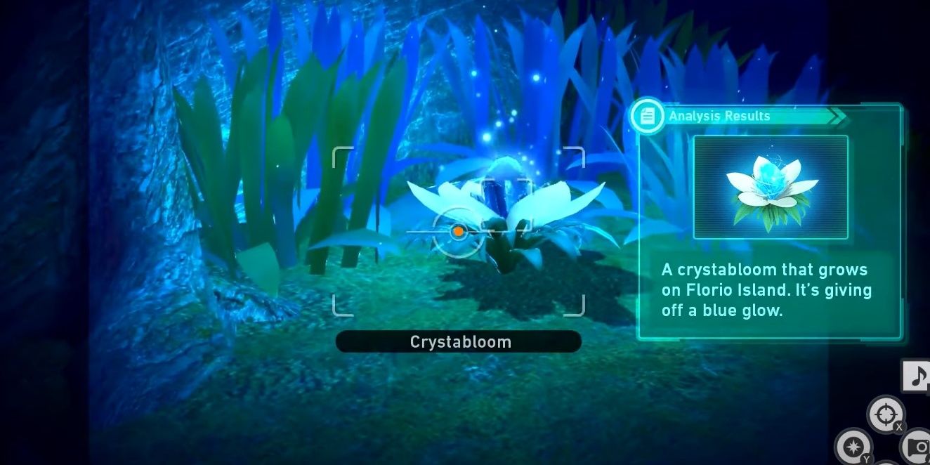 Information on the Crystabloom in New Pokemon Snap