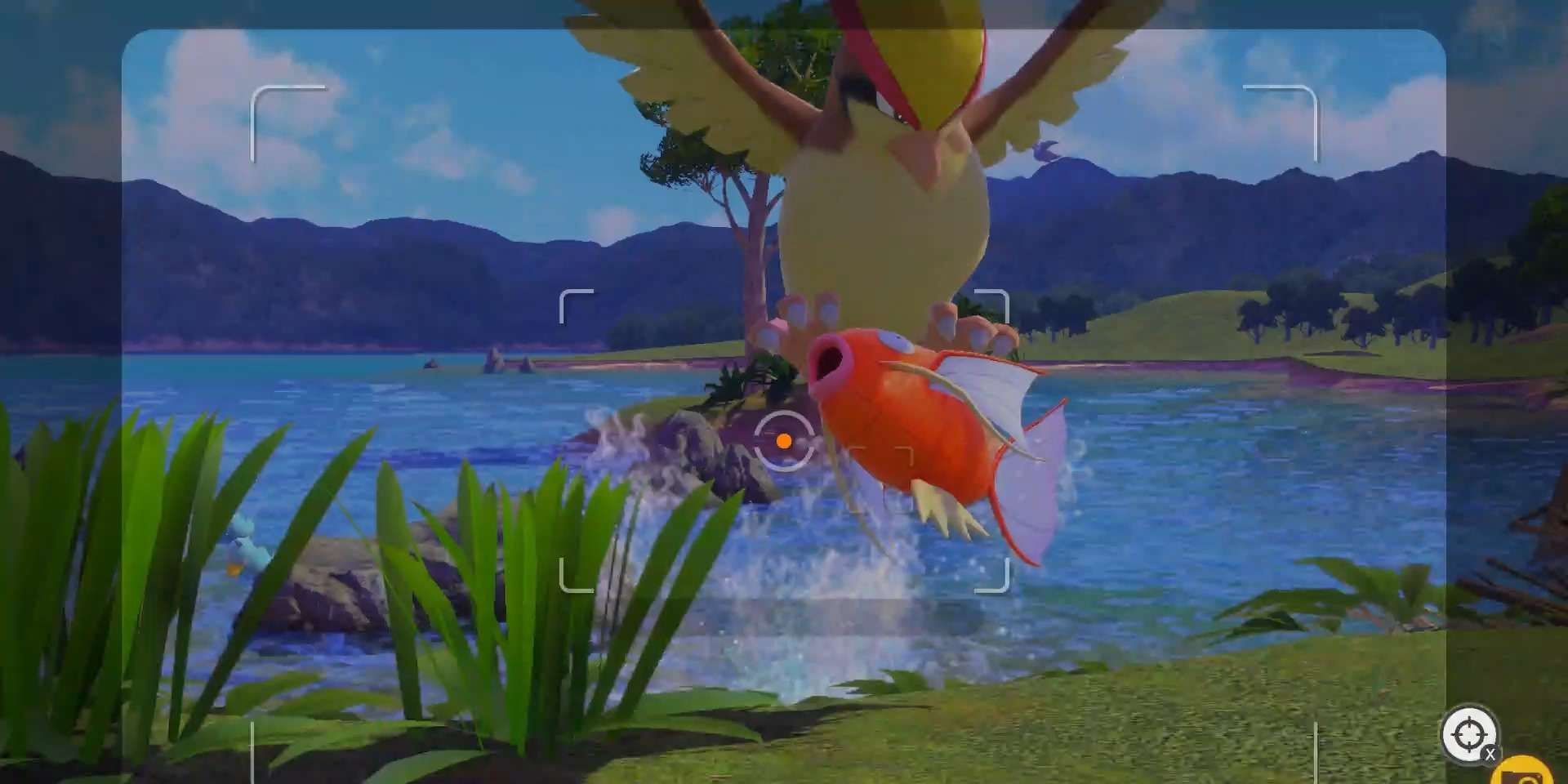 The photo opportunity for the "Flopping By The Water" request in New Pokemon Snap