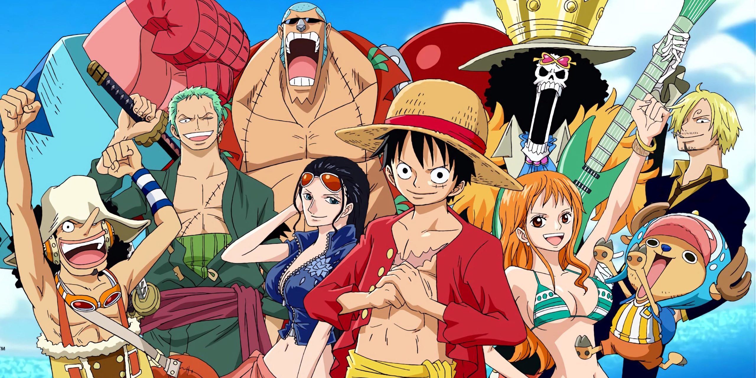 Luffy and the crew posing