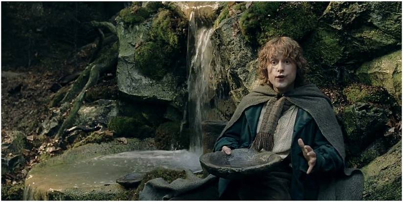 Merry & Pippen Finding Ent Water