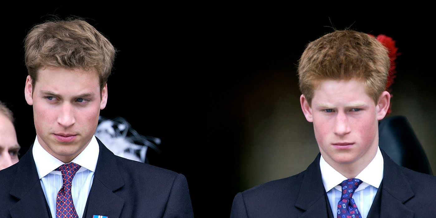 Young William and Harry Next To Each Other