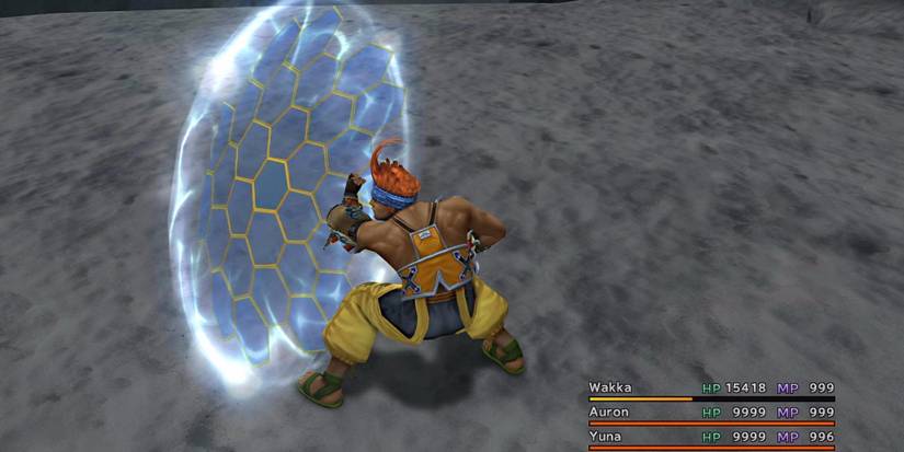 Final Fantasy 10 Wakka Getting Protected